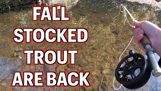 FALL STOCKED Trout Fishing in Pennsylvania IS BACK [upl. by Piks]