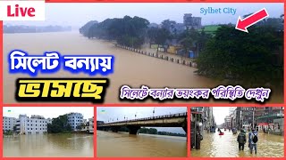 সিলেটে বন্যা পরিস্থিতি ২০২৪  সুনামগঞ্জ সিলেট বন্যায় ডুবছে  sylhet bonna news  sylhet flood 2024 [upl. by Mcclary41]