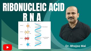 Protein Structure and Function by Kevin Ahern Part 8 of 8 [upl. by Irat363]