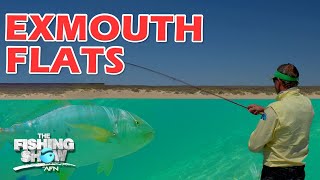 NINGALOO REEF FLATS  Fishing Fly and Soft Plastics [upl. by Mcclelland]