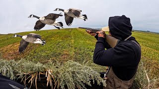 OPENING DAY NORTH DAKOTA GIANTS 2024 GOOSE HUNT [upl. by Ahseuqal]