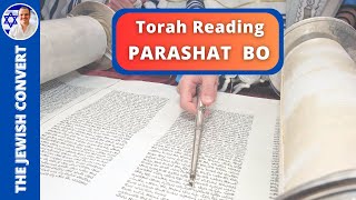 PARASHAT BO  Weekly Torah Reading in Hebrew amp English Translation  TORAH STUDY [upl. by Capwell]