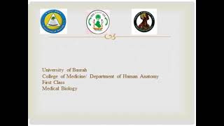 Biology practical stratified epithelial tissue lab 8  DRBALQEES [upl. by Aluor392]