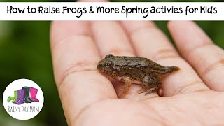 Learning with Nature  Raising Tadpoles from Frog Eggs [upl. by Kemeny]