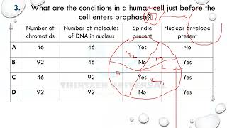 A LEVEL CAIE MITOTIC CELL CYCLE  SERIES ONE [upl. by Dickens504]