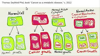 Rogers mitochondrial toxin theory of cancer [upl. by Mitzl297]