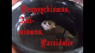 Hexenphilosophie II Panpsychismus Animismus und Pareidolie [upl. by Brandtr400]