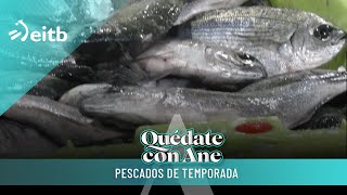 Pescados de temporada ¿cuándo es un bueno momento para comer uno u otro [upl. by Fari]