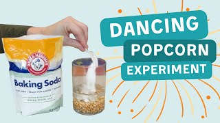 Try the Dancing Popcorn Experiment  2 Different Ways [upl. by Asaret724]