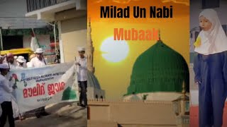 Milad Un Nabi 2024  Nabidinam  Nascafe2021nas [upl. by Carena]