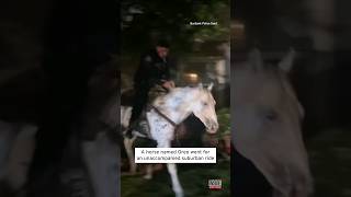 Riderless Horse Gallops Through California Neighborhood shorts [upl. by Namrej860]