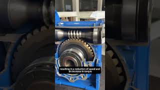 RV series reducers reducer worms gearbox machine factory [upl. by Fionnula709]