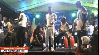 LA PRESTATION DE SHAGGY SHAROOF AU CONCERT DE MOASCO DJ [upl. by Einuj]