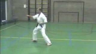 karate kata 1 [upl. by Ultann]