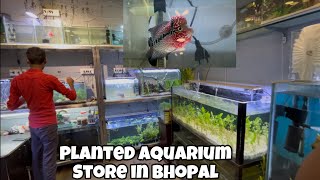 PLANTED AQUARIUM SHOP IN BHOPAL  RS PETS ZONE [upl. by Erdua242]