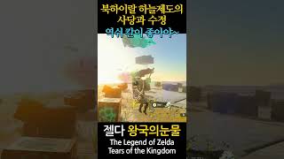 The Legend of Zelda Tears of the Kingdom 171 shorts zelda zeldatearsofthekingdom zeldatotk fyp [upl. by Hubsher]