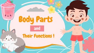 Fun Learning Exploring Body Parts and Their Function for Kids Parts of my Body for Kids Education [upl. by Sumerlin322]