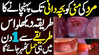 1 Din Mein Hamal Tehrane Ka Tarika In Urdu  How To Send Semon In Uterus  Online Islamic Tutor [upl. by Meeks]