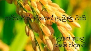 හරිත විප්ලවයෙන් ලැබුණු වාසි  Agricultural Science for Advance Level Examination Sinhala medium [upl. by Frodine547]