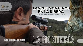 LANCES MONTEROS EN LA RIBERA CON CABEZAS SERVICIOS DE CAZA 🎥🐗 [upl. by Boyce]