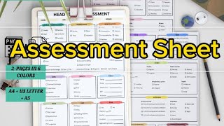 شرح Assessment Sheet [upl. by Ahsiema]