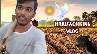 HARDWORKING IN FIELD VLOG🔥‼️vlog viralvideo [upl. by Ilyk]