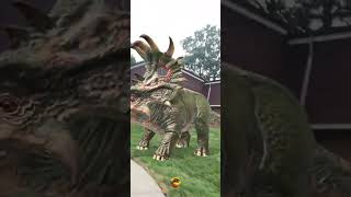 Sinoceratops teamjurassic jurassicworld dinosaur jurrassic [upl. by Airbmac]