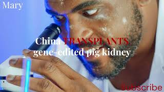 🔥😱China TRANSPLANTS geneedited pig kidney amp more🔥 [upl. by Karee911]