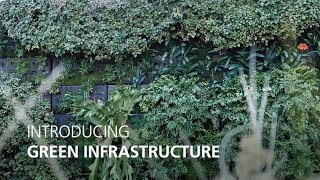 Green Infrastructure Project [upl. by Esiocnarf]