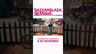 Gattamelata de Padua  8 de noviembre shorts canciones musicaindie [upl. by Nylissej456]