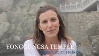 Yonggungsa Temple Busan  Directions How To Get There  Lauren In Asia [upl. by Aicelf173]