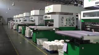 Fully Automatic Sugarcane Bagasse Pulp Molding Tableware Machine [upl. by Hiltner116]