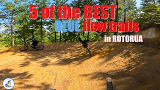 5 of the BEST BLUE flow trails in Rotorua [upl. by Jahdai673]