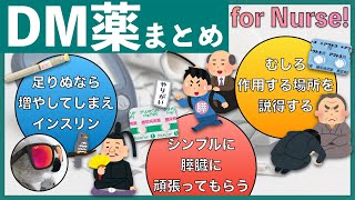 【各薬剤は概要欄】糖尿病治療薬まとめ【超シンプル解説】 [upl. by Naibaf]