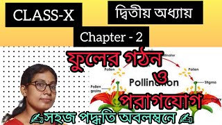 CLASS  10💥 Chapter2✍️ structure of Flower🌺🎋 amp Pollination🎋 in bangla 💯 [upl. by Hak655]