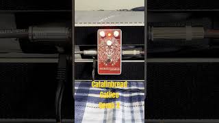 Catalinbread Galileo Demo 2 [upl. by Rossy]