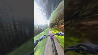 Fast single track 😍 [upl. by Aizek]