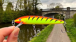 How to catch 6 PIKE in 96 MINUTES Lure fishing 👶 [upl. by Tevis]