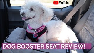 Reviewing a Booster Seat for Dogs [upl. by Isadora26]