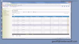 Editing Your ADP Timesheet [upl. by Erline]