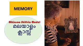 Memory Atkinson Shiffrin Model [upl. by Llatsyrc]