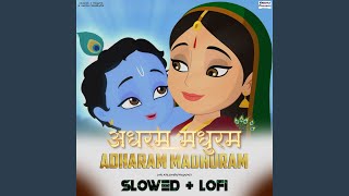 Adharam Madhuram Slowed Lofi [upl. by Leelah]