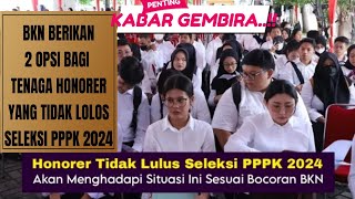 INFO TERBARU  BKN BERIKAN 2 OPSI BAGI TENAGA HONORER YANG TIDAK LOLOS SELEKSI PPPK 2024SIMAK [upl. by Mitran]