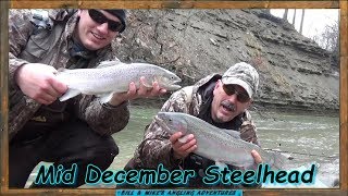 Mid December Steelhead Fishing [upl. by Lauritz]