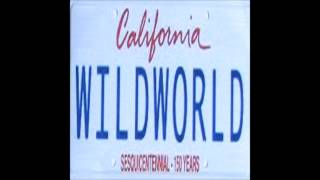 James Ferraro  Wild World Full album [upl. by Eidnim]