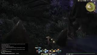 Silentstream  FFXIV  Trophy hunting [upl. by Thora]