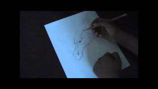 How to Draw an Eragon Dragon Part 1 [upl. by Selmner]