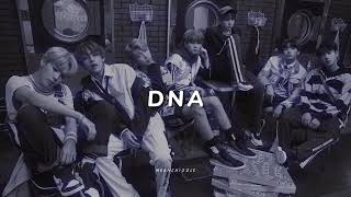 BTS DNA slowedreverb • [upl. by Christoforo]