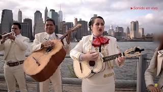 Cielito Lindo en Vivo  Mariachis en New York  Mariachi Loco de NY [upl. by Nonah]