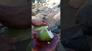 Satisfying eye comfort cutting coconut amazing asmr coconut [upl. by Rozalin774]